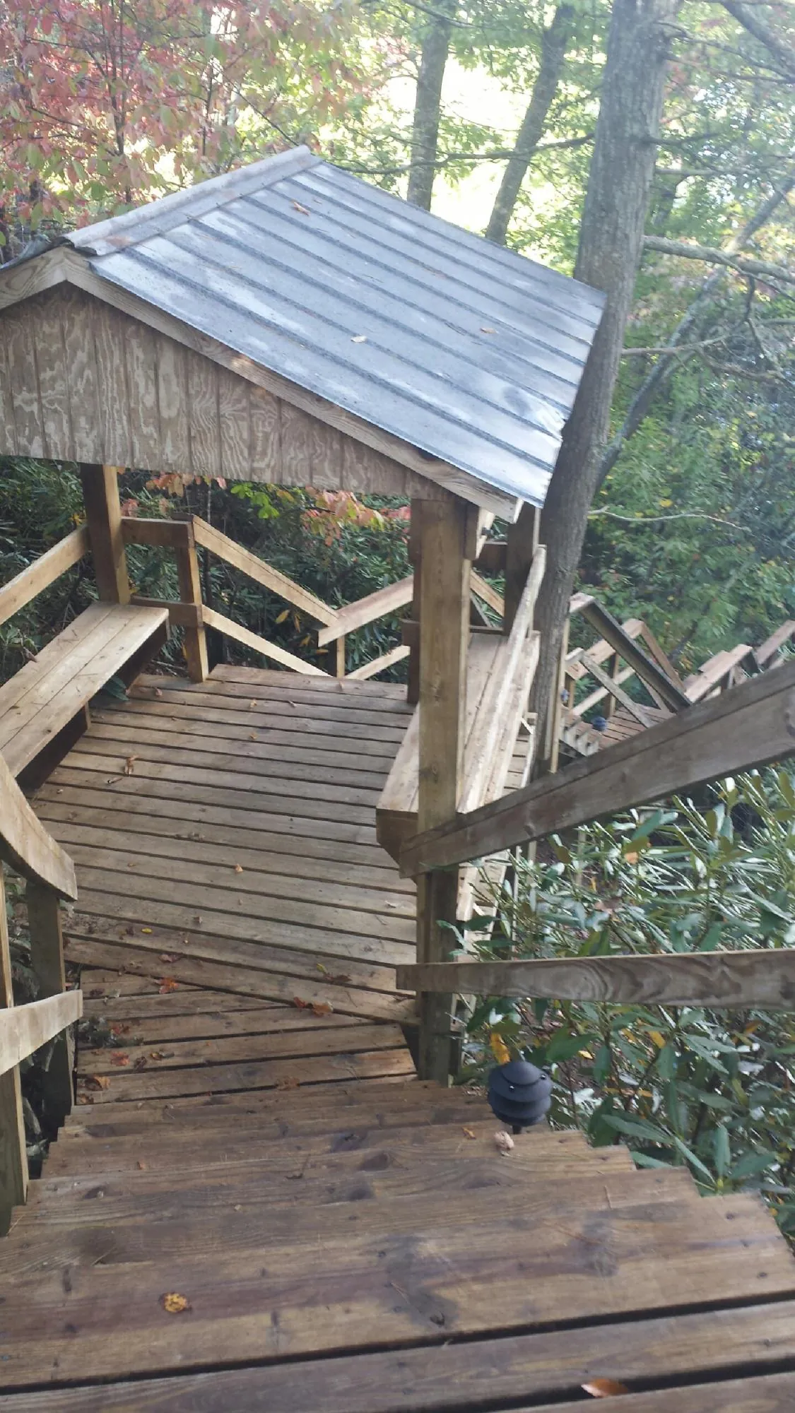 Metal roofed shelter over wooden steps on a wooded walkway — Skylight Repair & Installation work by our crew in Drewryville